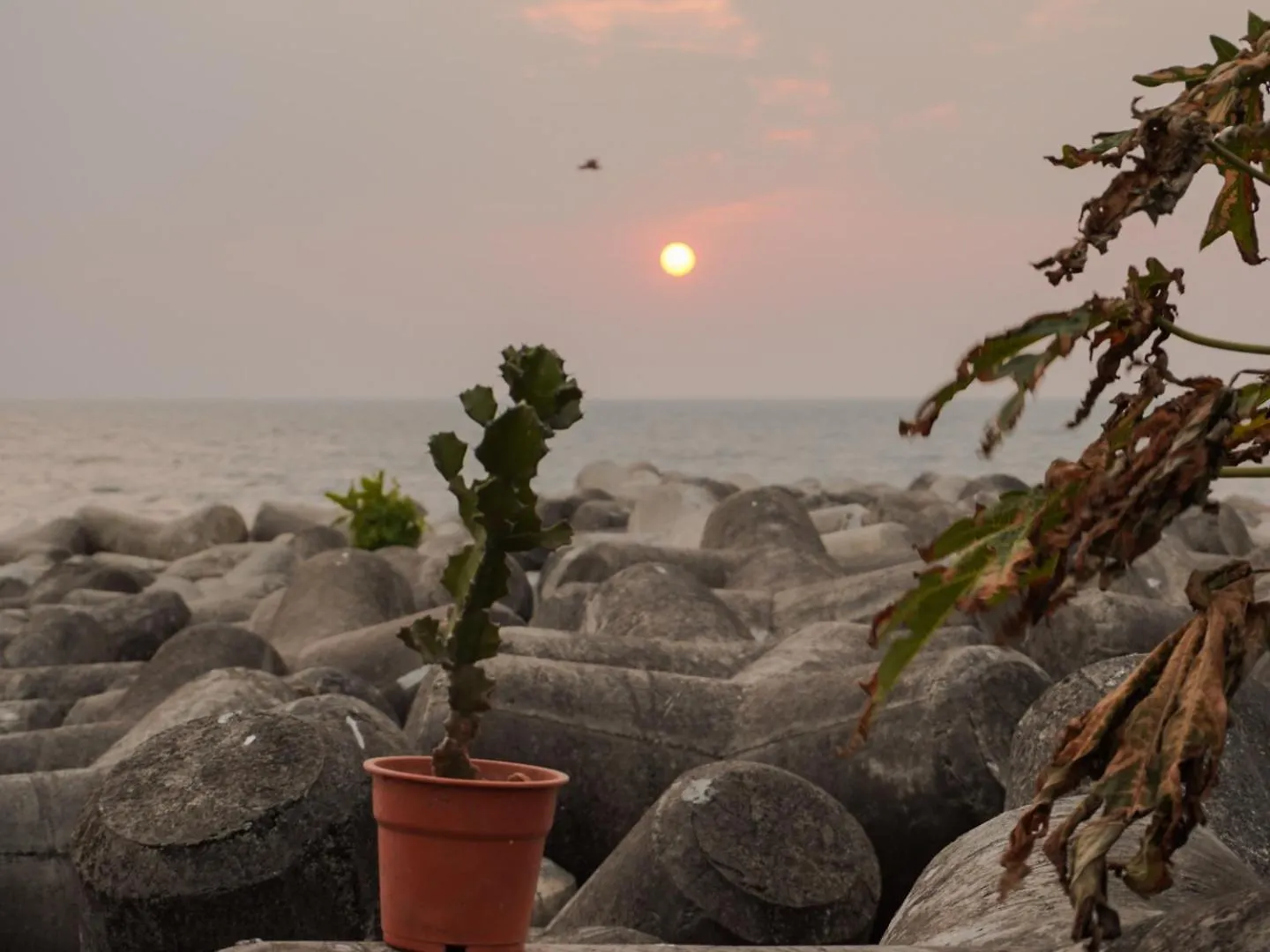 Marari Aiden'S Beach Resort Alappuzha